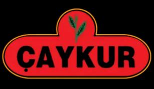 Çaykur