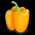 Fresh Vegetables